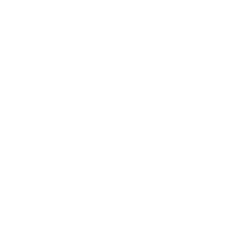 Sandy Alonso Logo white